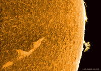 Sunspots, Promineses and Flares