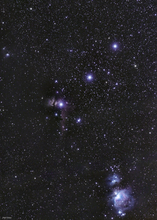 Orion, lower part with Orion Nebula, Horsehead nebula and Flame Nebula