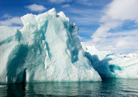 Glaucous Gull (Larus Hyperboles) on Iceberg
