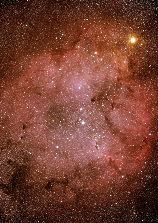 IC1396 Elephant's Trunk Nebula