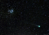 Comet C/2014 Q2 Lovejoy and Pleiades